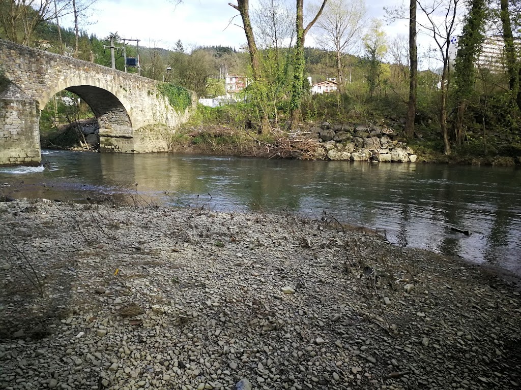 Puente creado por los Reyes Navarros