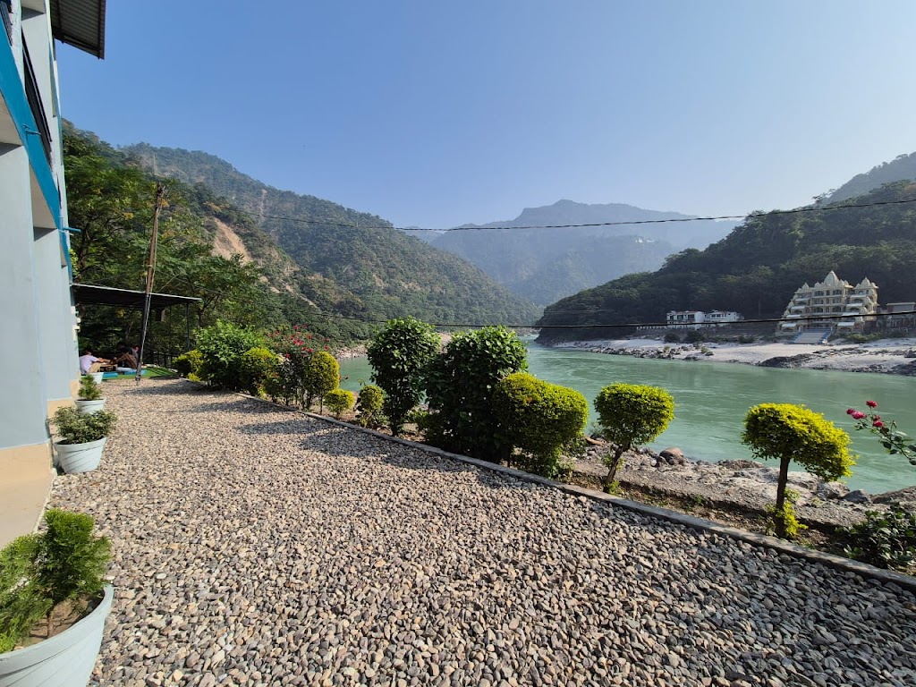 Himalayan Tree On The Ganges Rishikesh