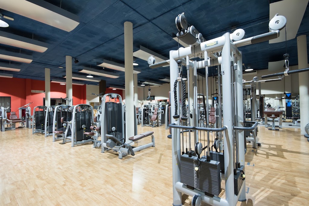 Club Deportivo Stadio Alicante — Gimnasio