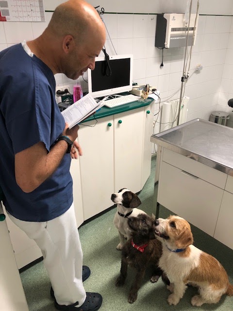 Centro Veterinario de Marin — Del propietario