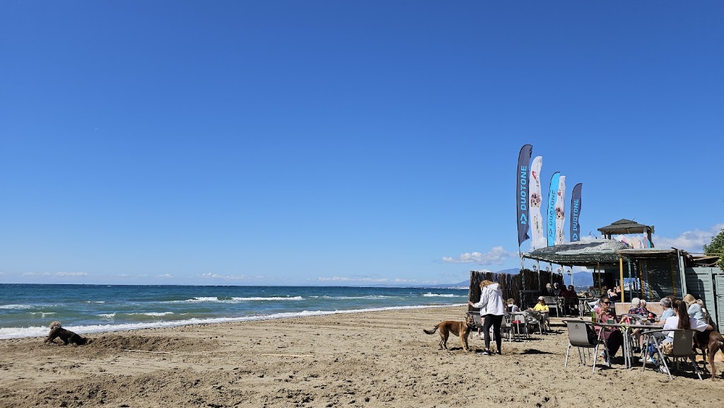 El Kiosko Kite Surf Marbella — Mas recientes