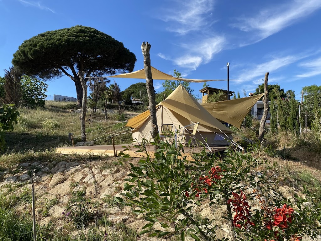 Stone Pines Eco Glamping