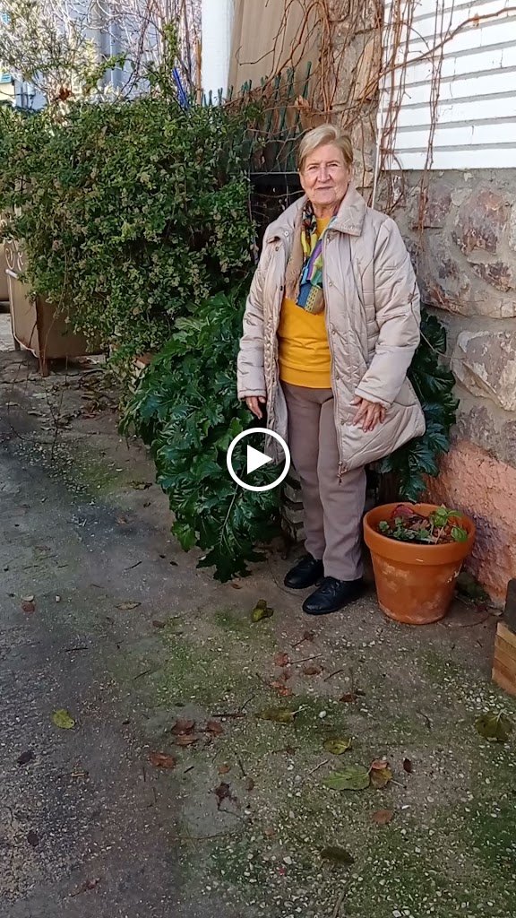 Parking Hotelero Saga