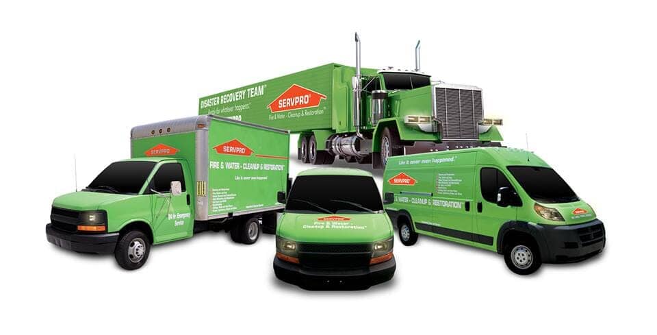 SERVPRO of Daviess, Butler, and Hopkins Counties - Water damage restoration service in Owensboro , United States of America