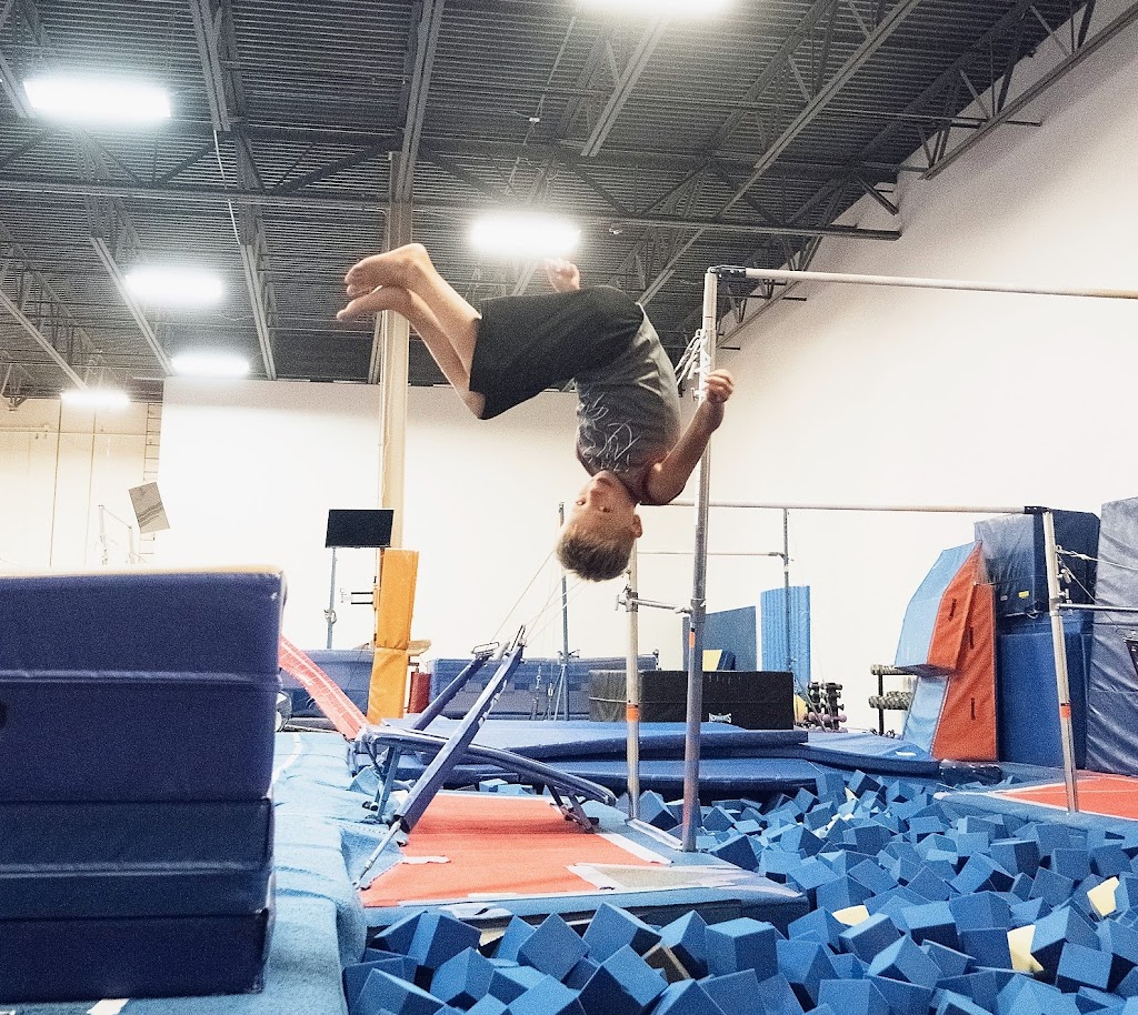  TIGAR Gymnastics