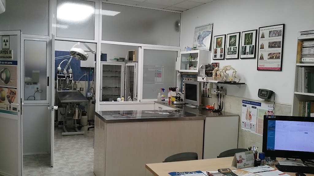 Clinica Veterinaria Xativa — Del propietario