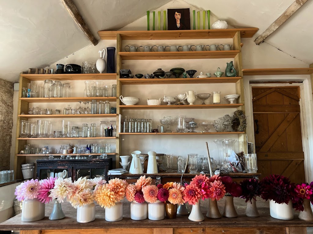 Common Farm Flowers