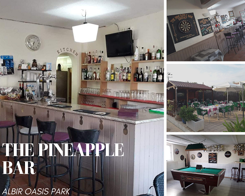 Pineapple Bar