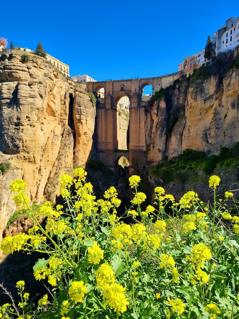 Barranco Tajo de Ronda — Montana