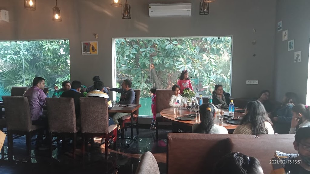 The Food Forest Best Punjabi Restaurant