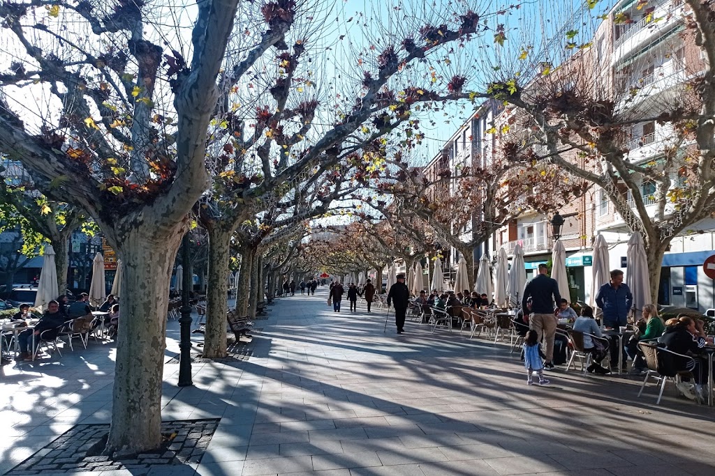 Paseo Cortes de Aragon