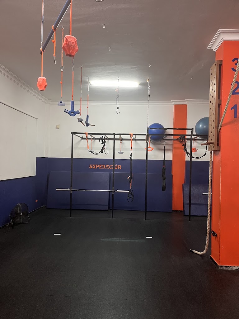 LDM Salud y Rendimiento