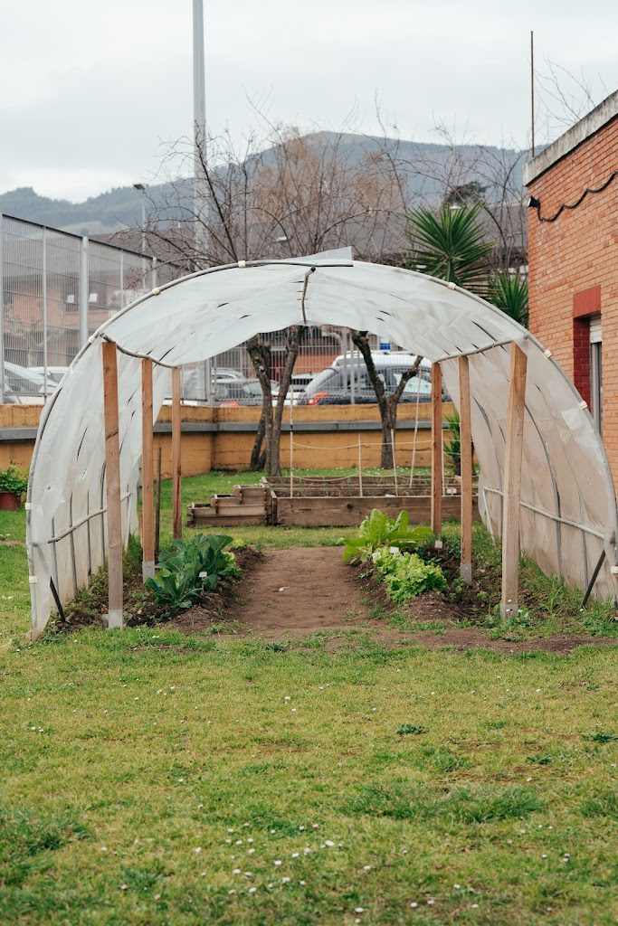 Colegio Publico Gurutzeta