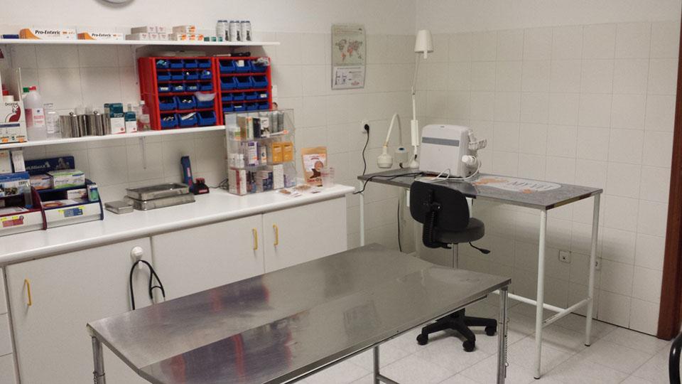 Clinica Veterinaria Islas — Del propietario