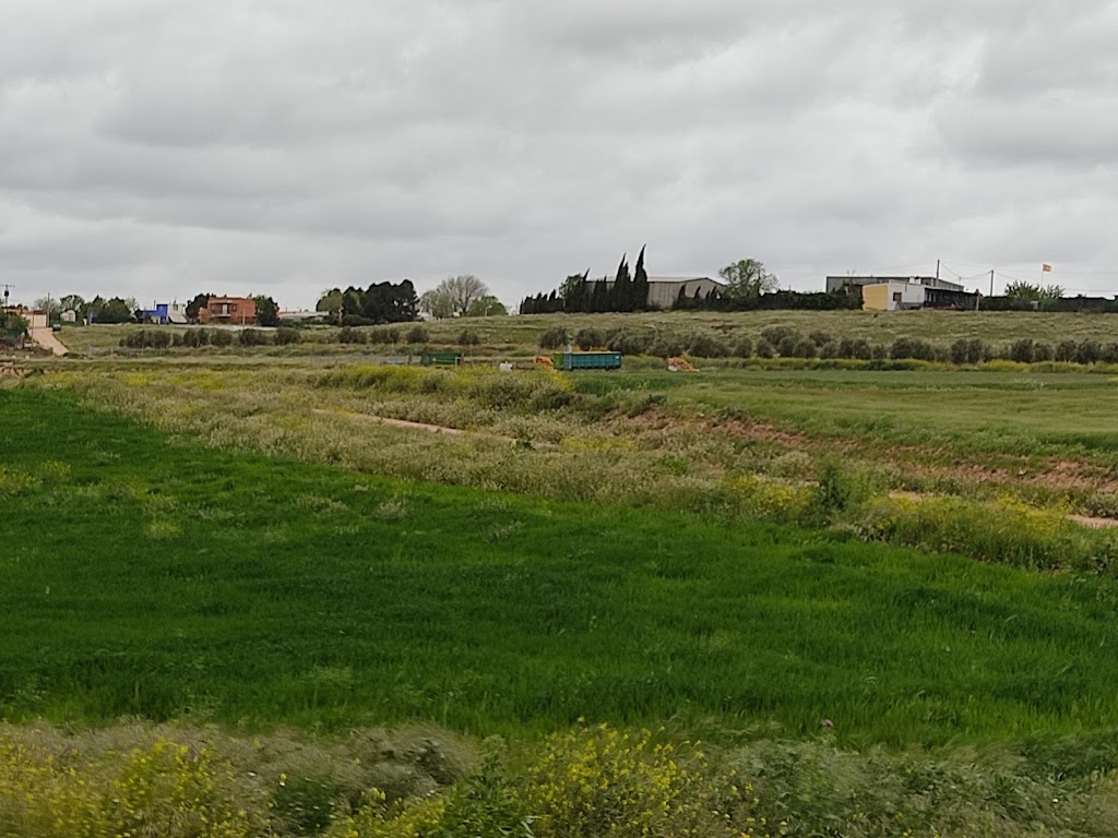 Codere Apuestas Deportivas