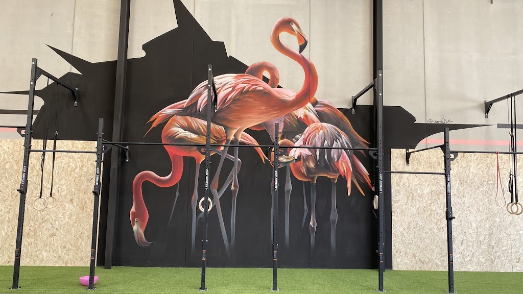 Flamingo CROSSFIT Roseus