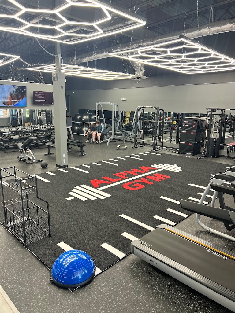  Alpha Gym