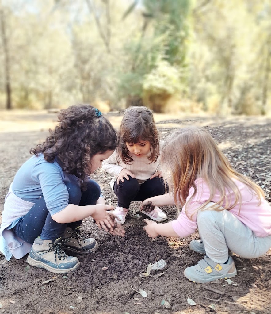 International School of Catalunya (ISCAT) — Del propietario