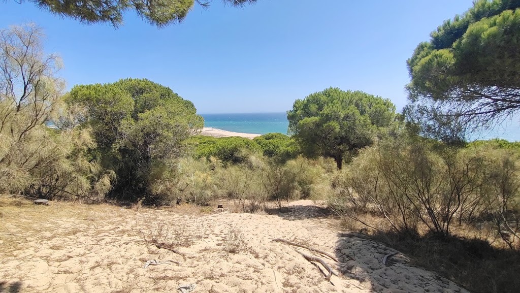 Explanada de entrada al sendero