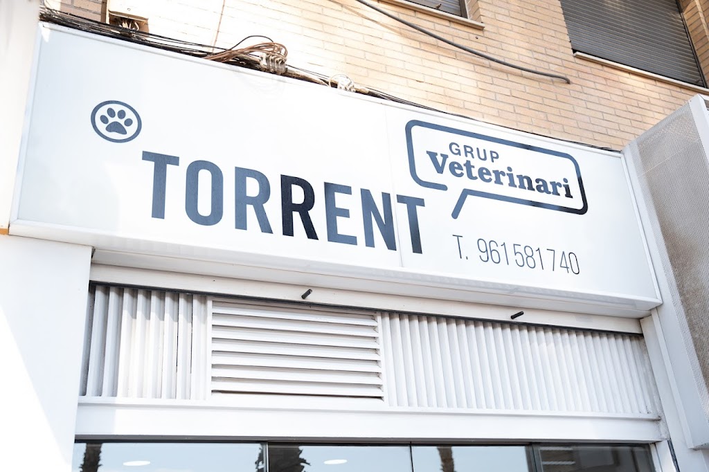 Hospital Veterinario Torrent