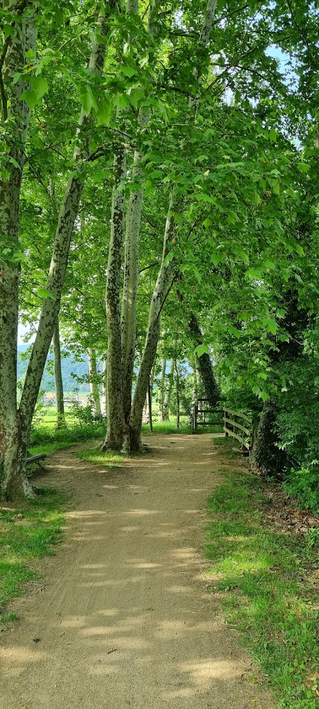 Via Verde Carrilet Olot -Girona