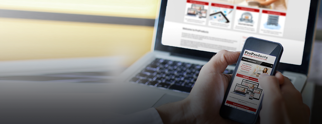 Proproducts Web Development