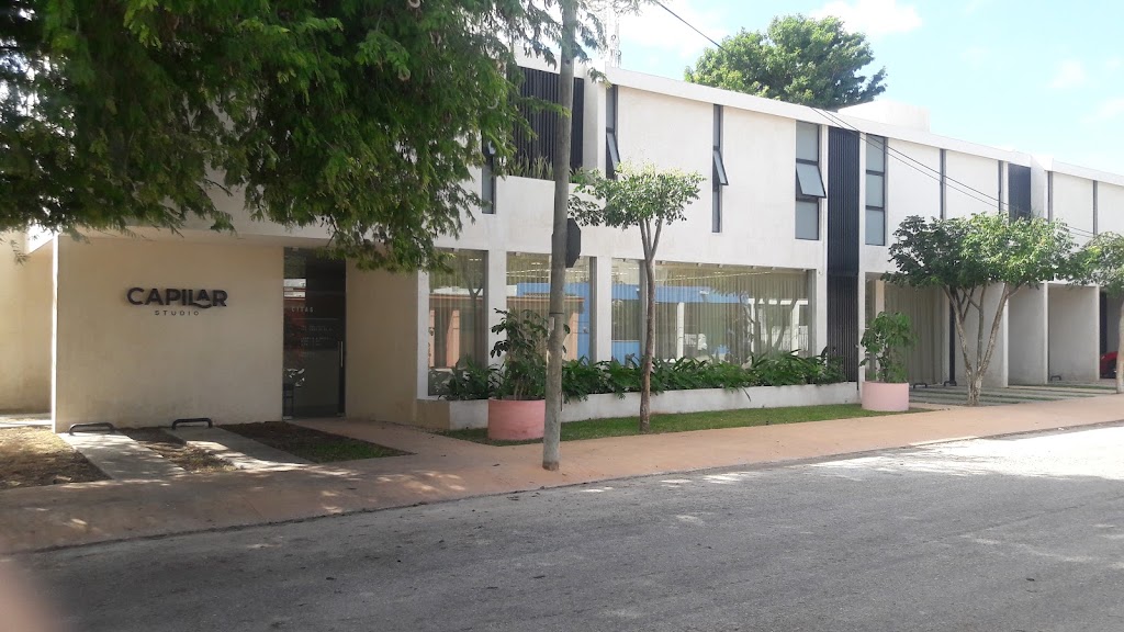 Capilar Studio — Del propietario