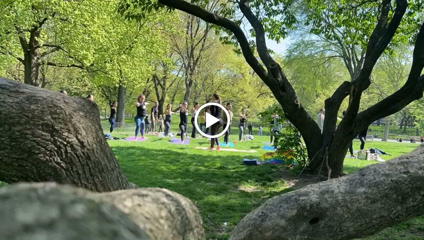  Yoga in Central Park