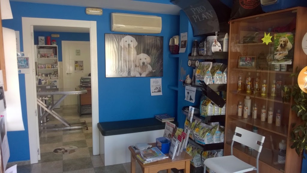 Clinica Veterinaria Los Almendros — Del propietario