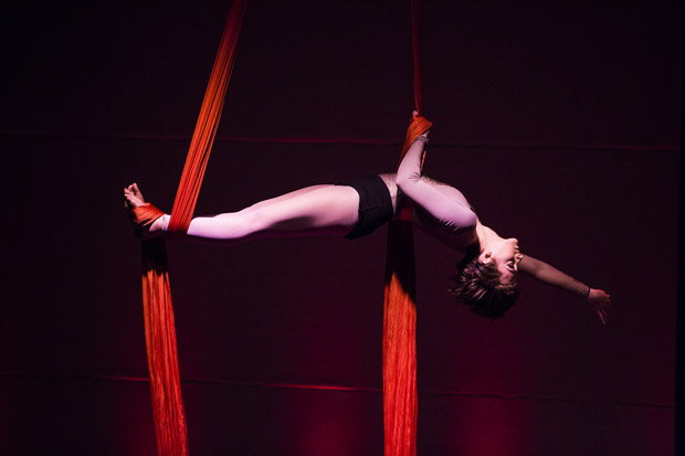  Night Owl Circus Arts North