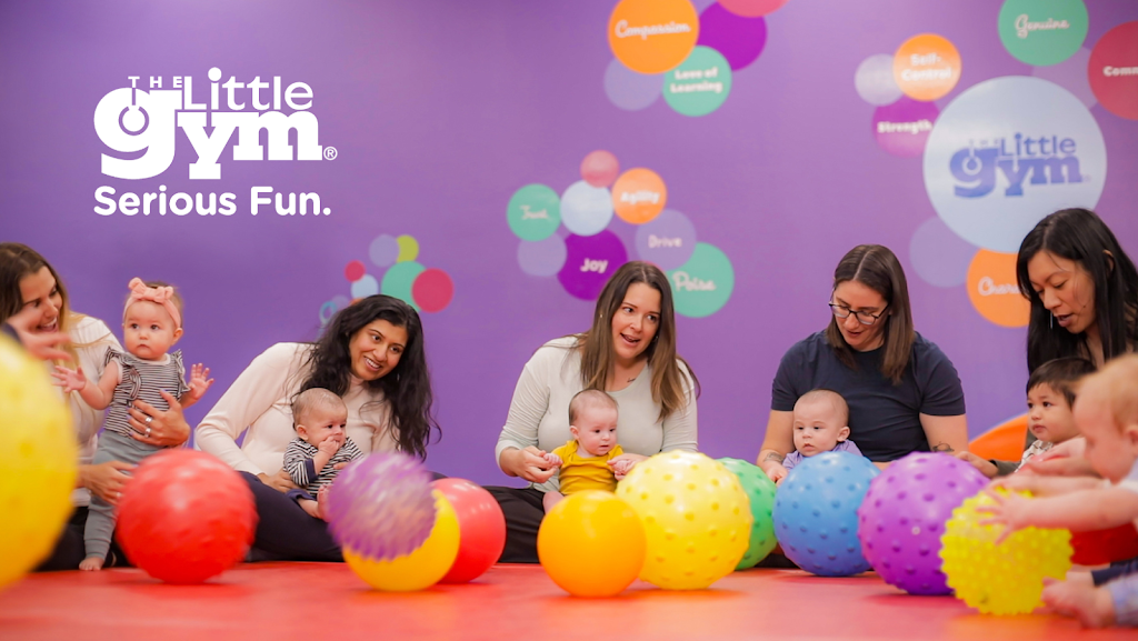  The Little Gym of Milpitas, CA