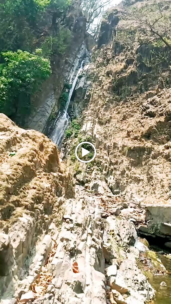Videos