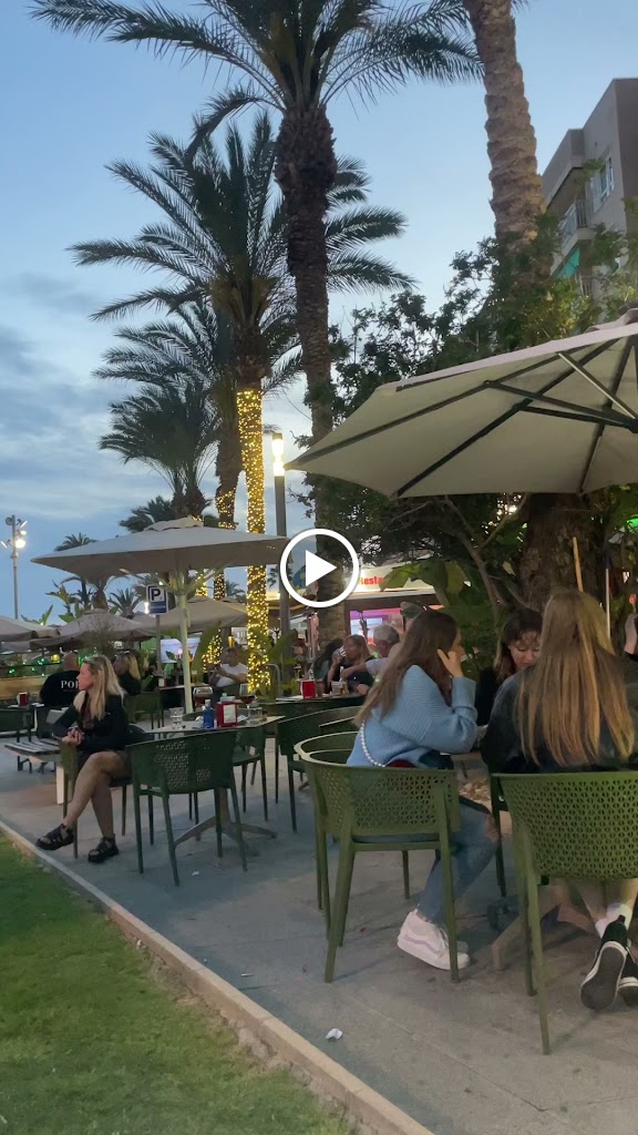 El Mono — Videos