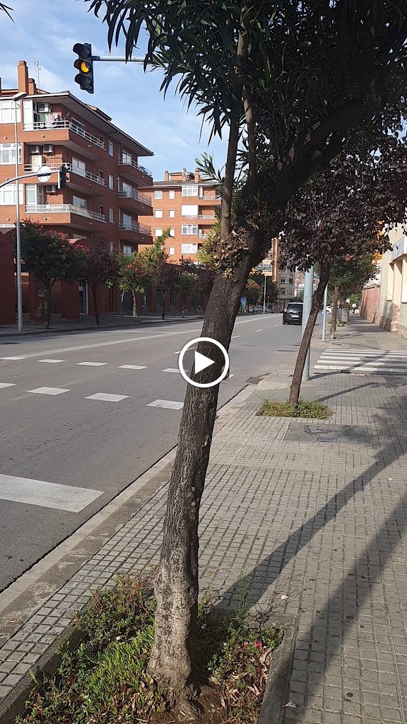 Bar Maleno — Videos