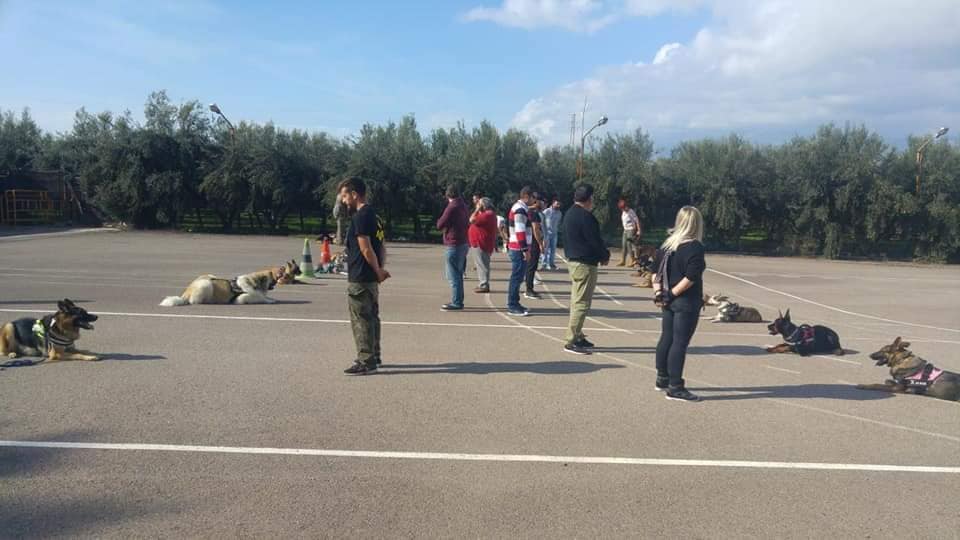 Escuela Canina Rytual-Kan