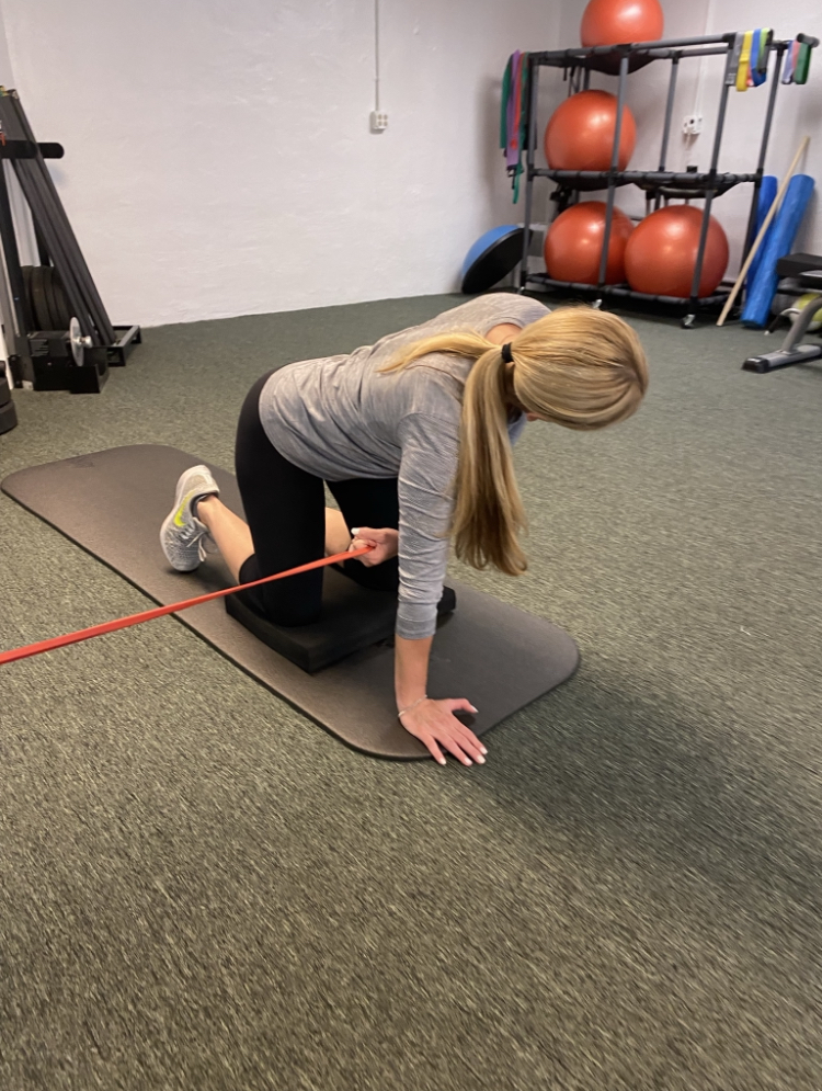  The Pilates Garden and Personal Training Studio, LLC