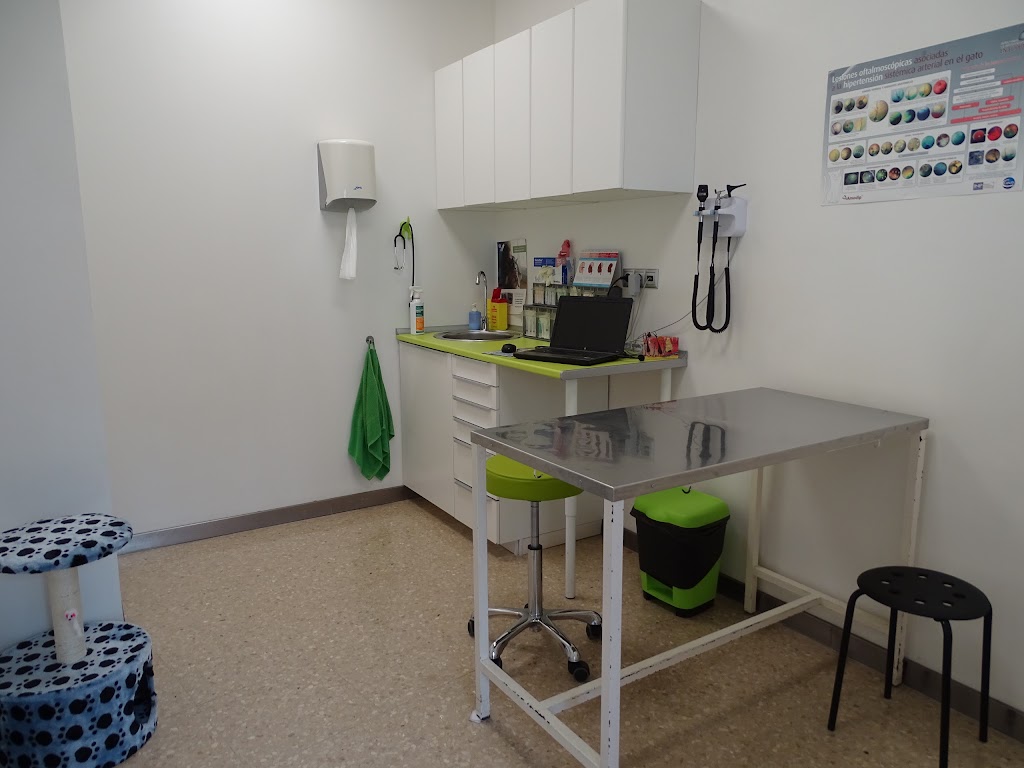 VeterClinic Esplugues — Del propietario