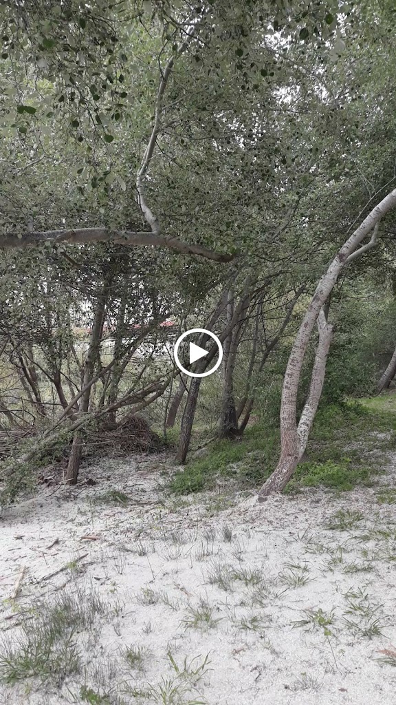 Maleco d'Alzira — Videos