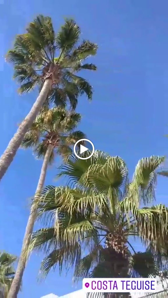 ISO in the Sun — Videos