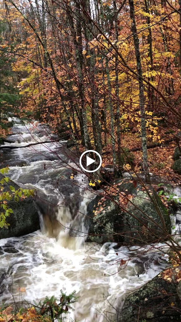  Yoga In The Adirondacks
