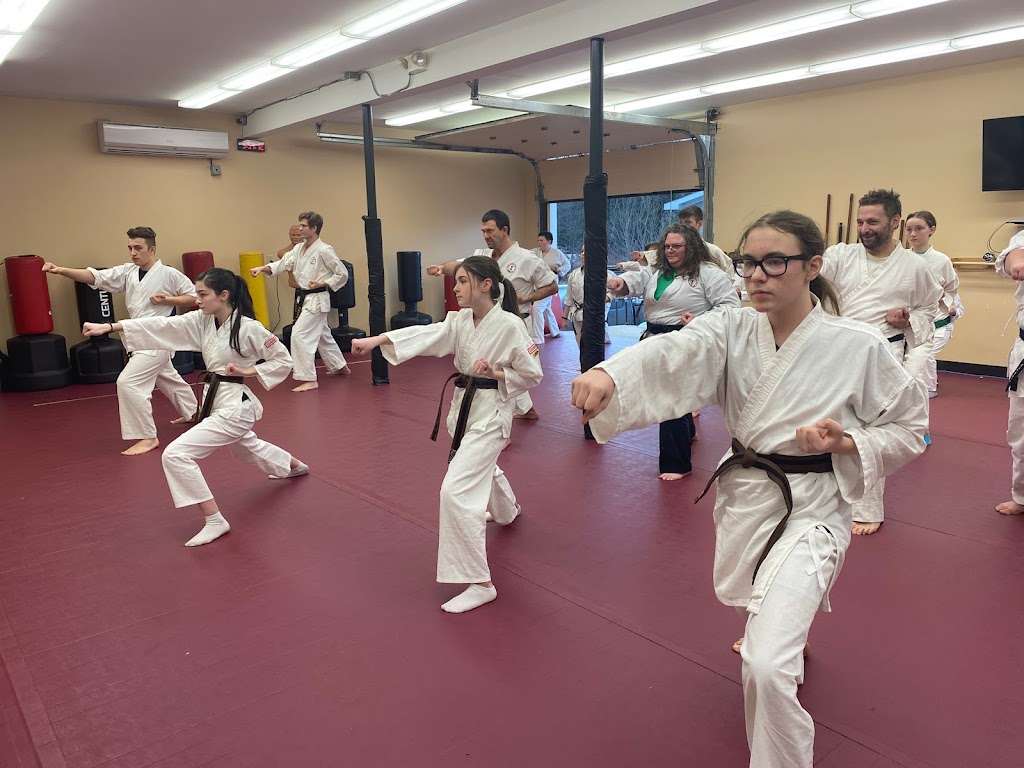  Phoenix No Limits Karate