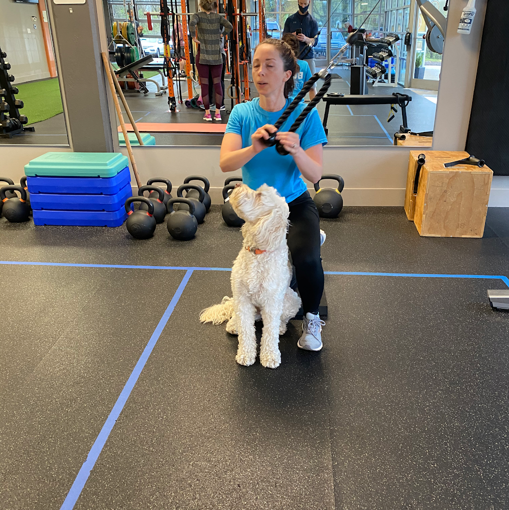  360 Fitness Coaching