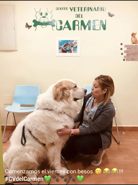 Centro Veterinario del Carmen — Del propietario