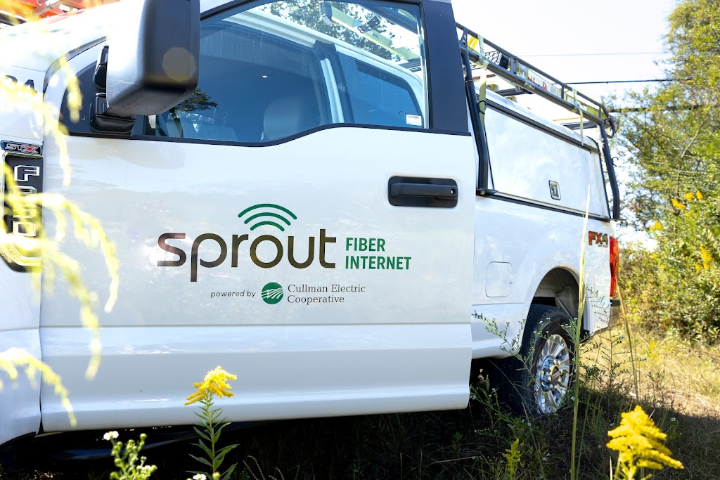 Sprout Fiber Internet
