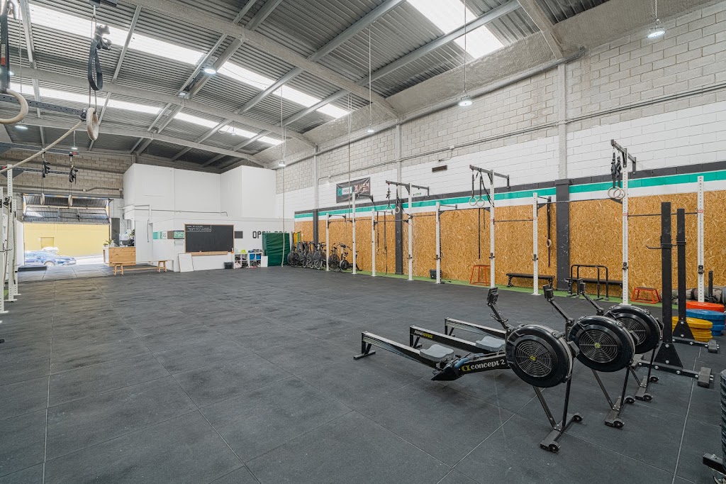 Oasis Box — Gimnasio