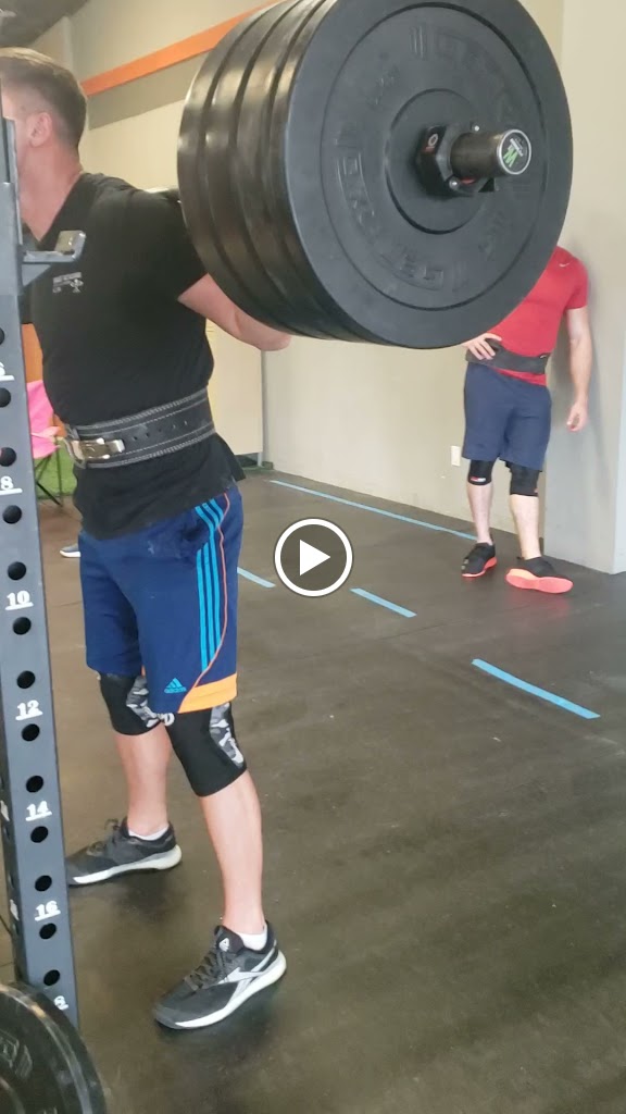  The Shed Strength and Performance