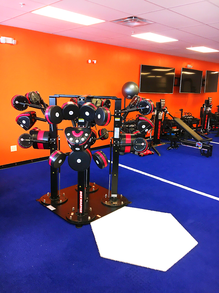  Bell's Life Enhancement