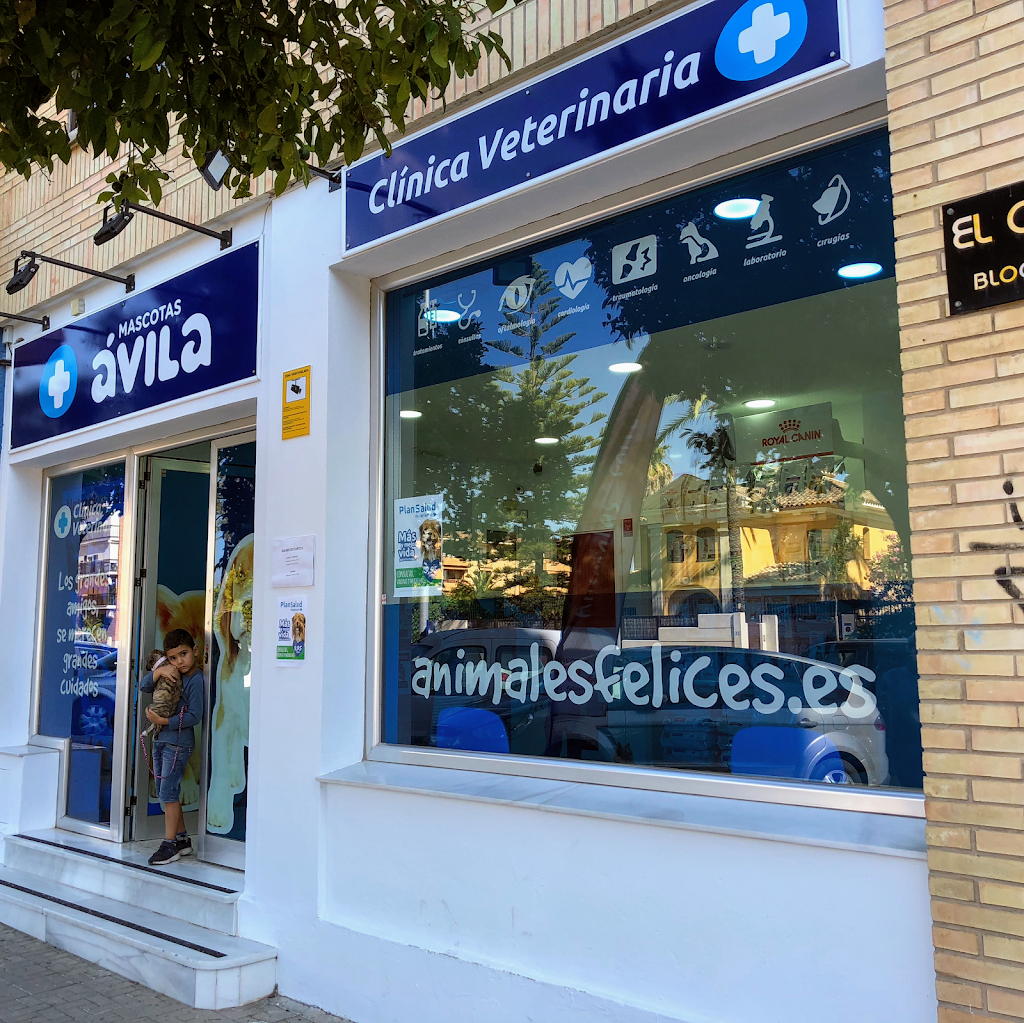Clinica Veterinaria Avila Jerez - El Cuco