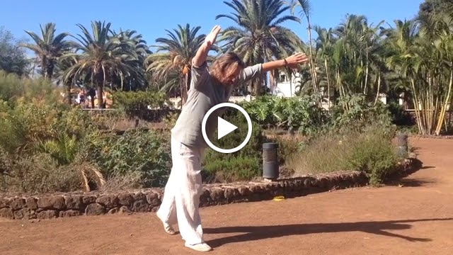 Wudang-Dao/Innerqi — Del propietario