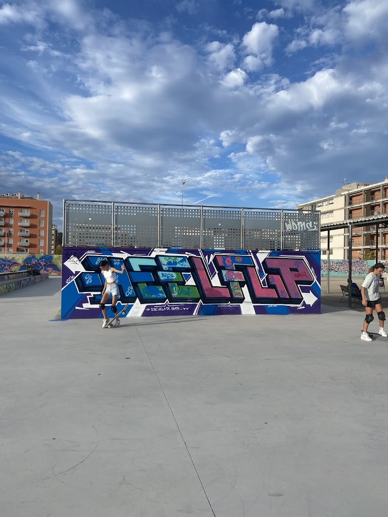 Escuela de skate Gandia /Heelflip